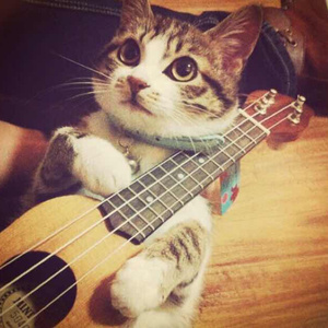 宁德随车吊厂家用小鸡营销导航
